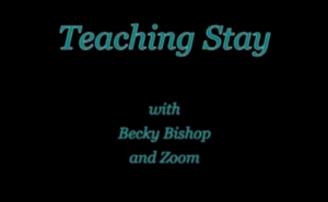 Teaching_Stay